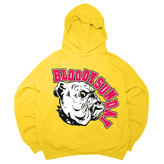 BULLY HOODIE